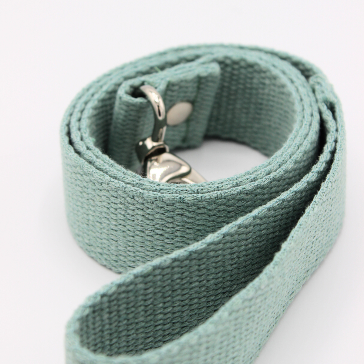 Laisse Je promène mon super chien