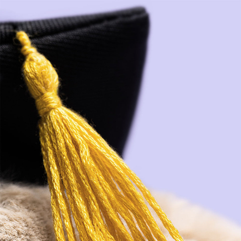 Peluche Lapin Bashful Remise de diplôme