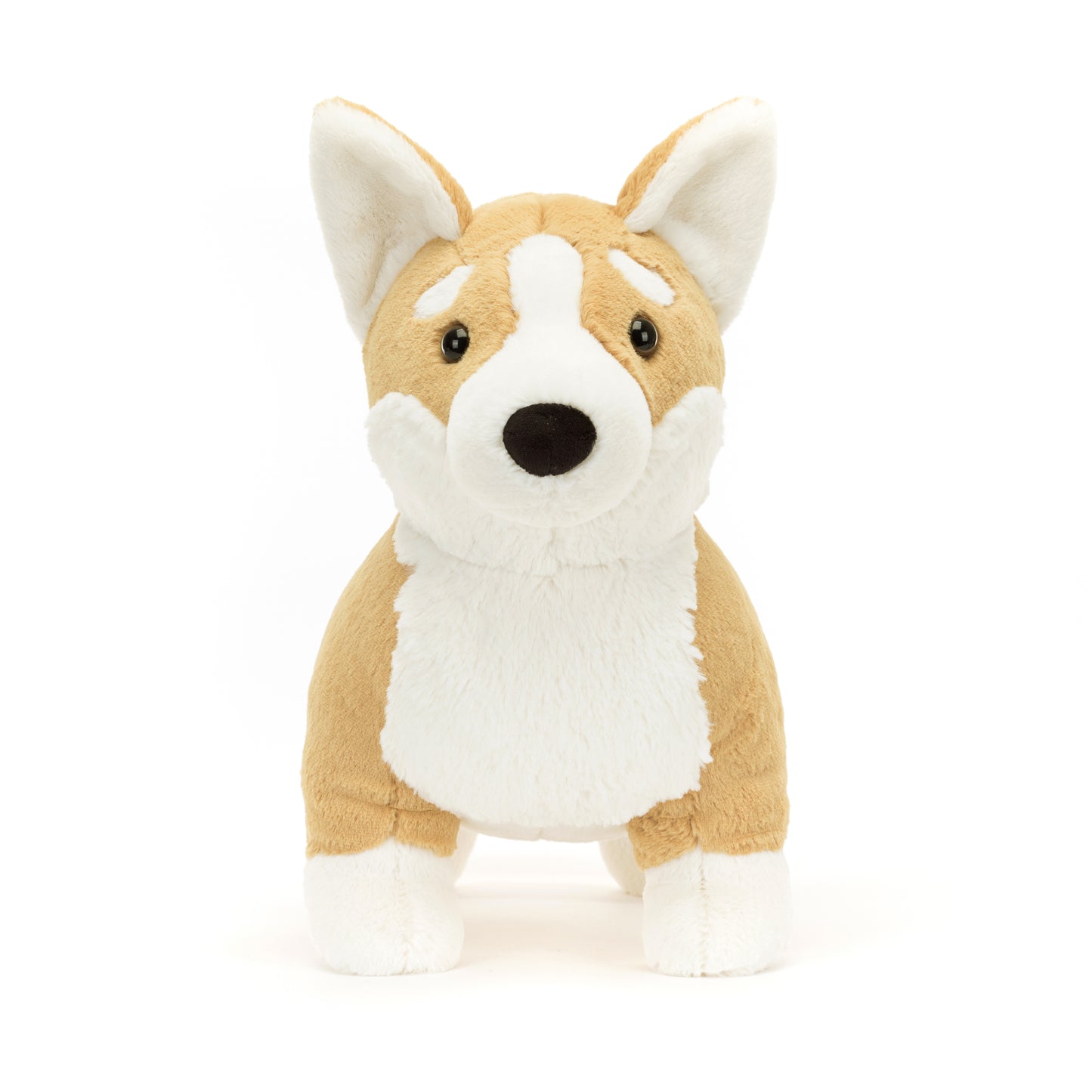 Peluche Corgi Betty