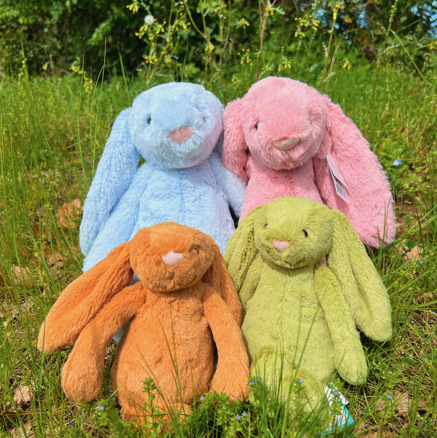 Peluche Lapin Bashful Golden