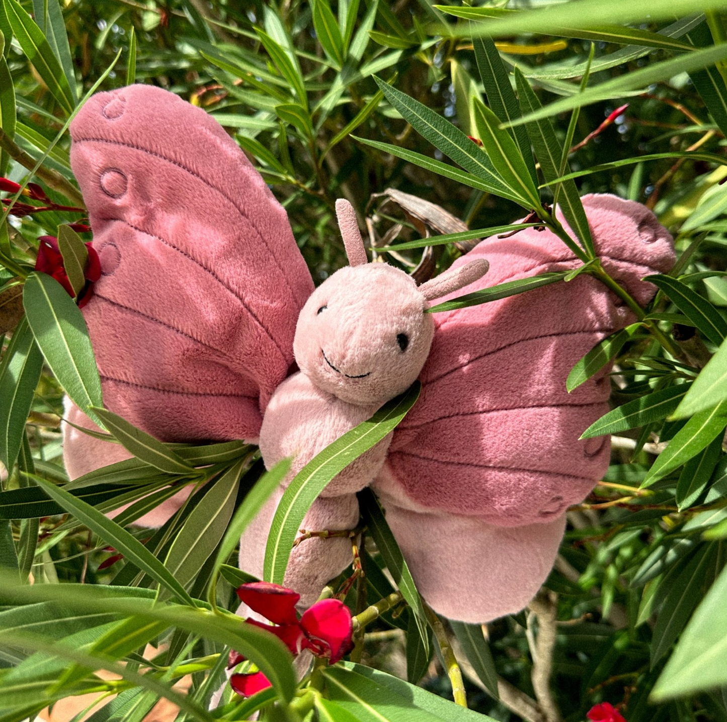 Peluche papillon Béatrice