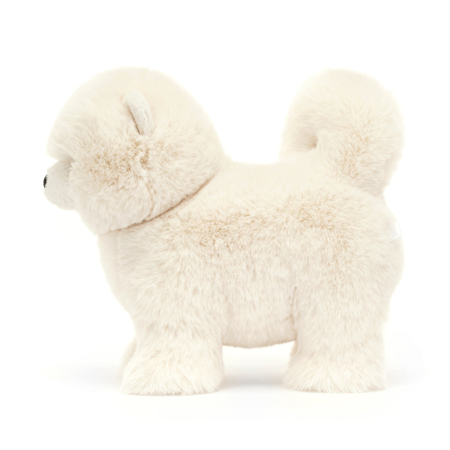 Peluche Poméranie Daphné