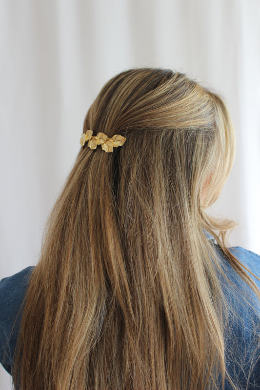 Barrette Ely