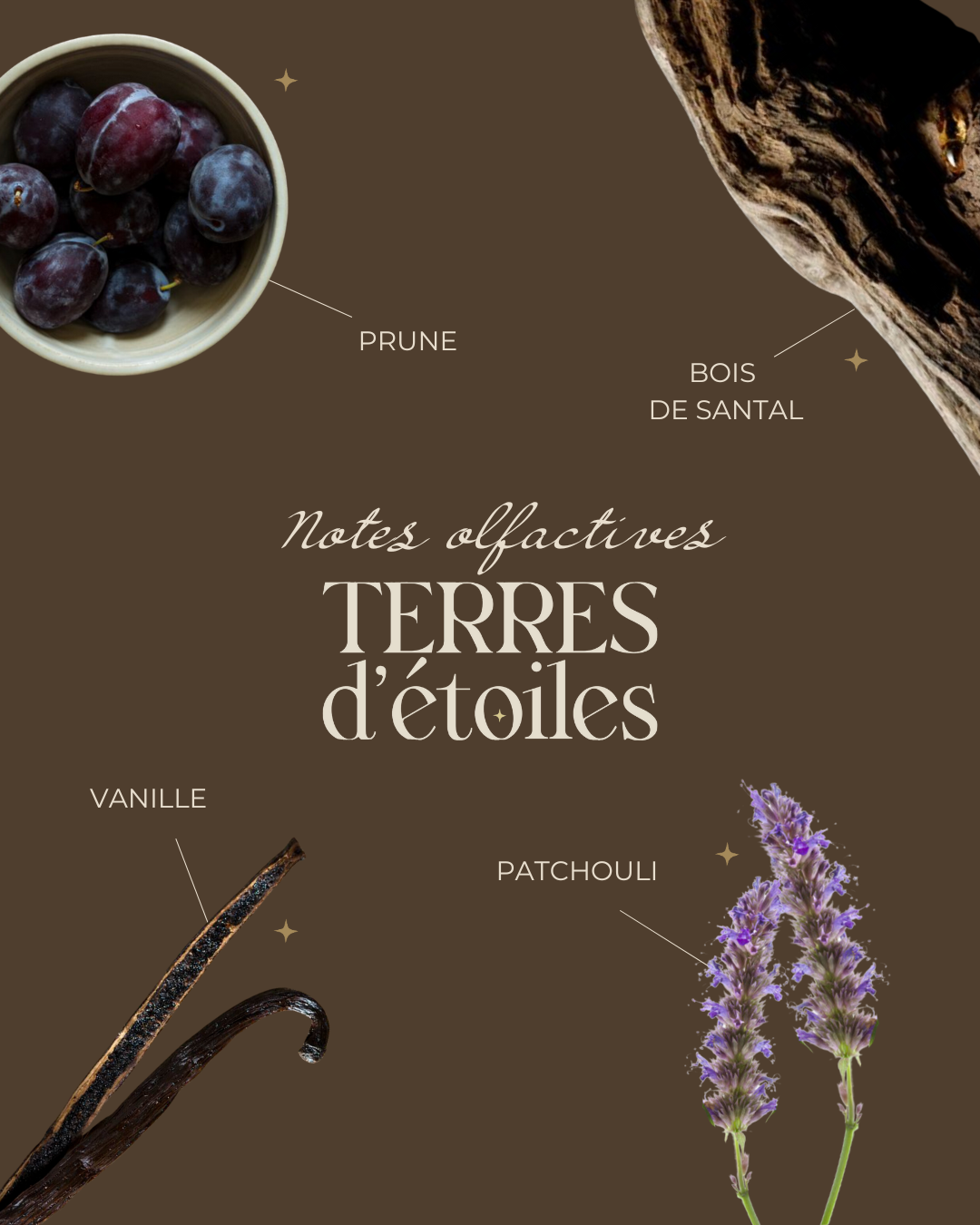 Bouquet parfumé Terres d'étoiles
