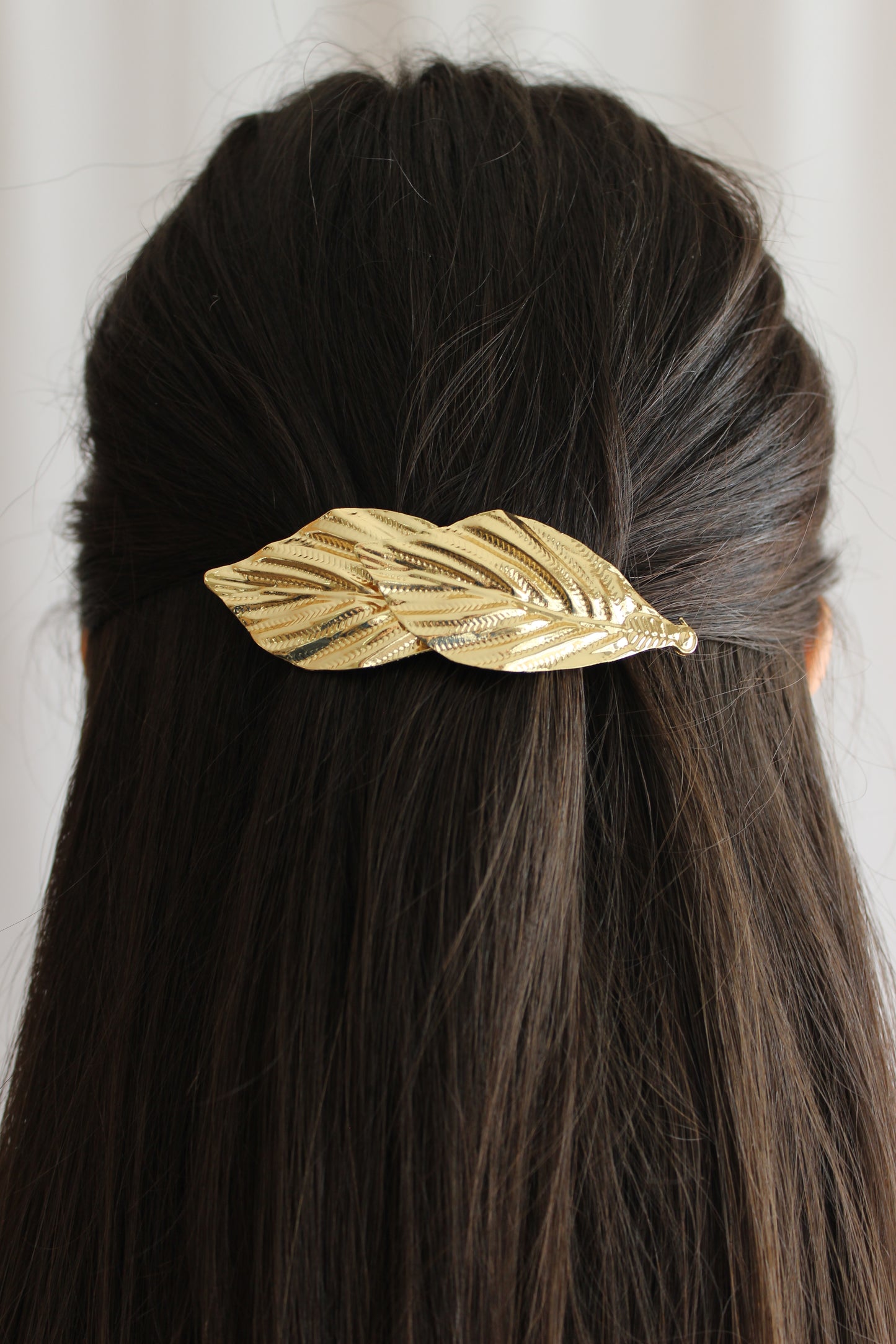 Barrette Swan