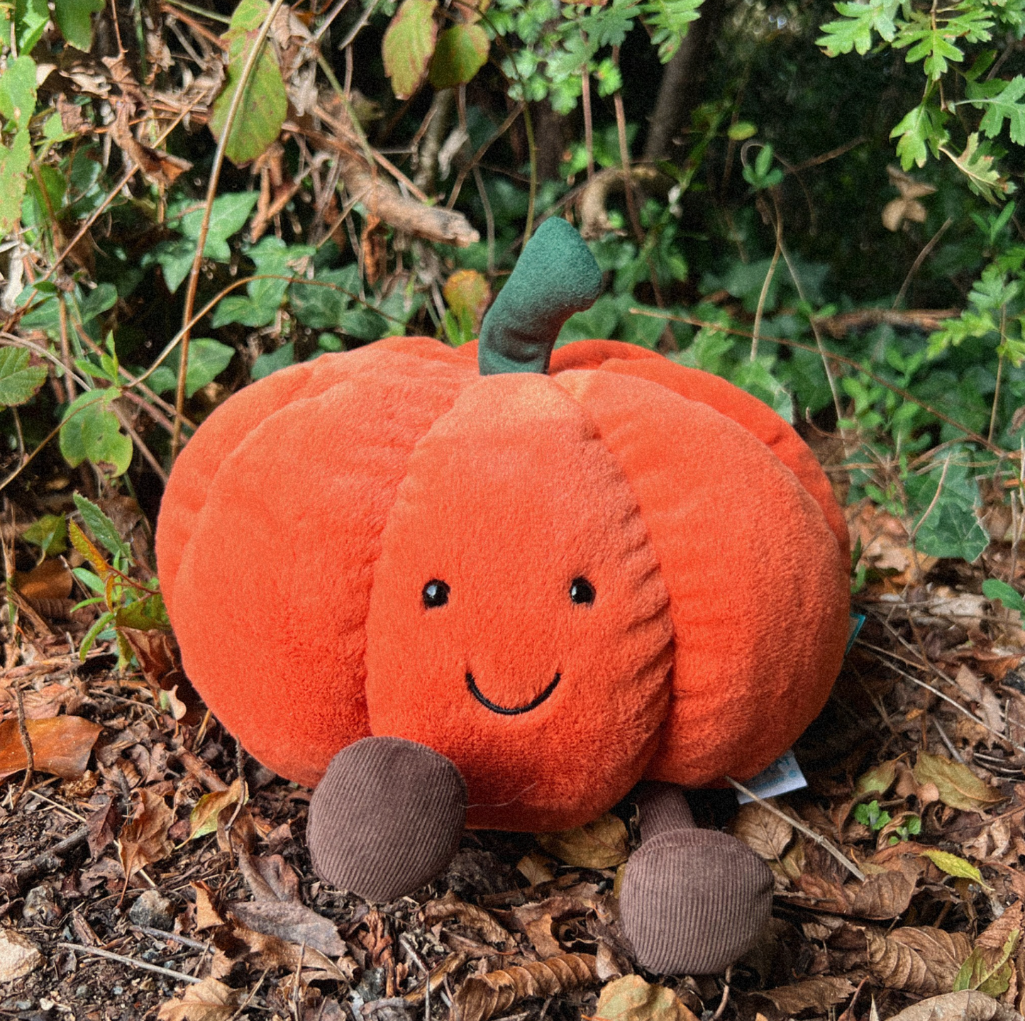 Peluche Amuseables Citrouille