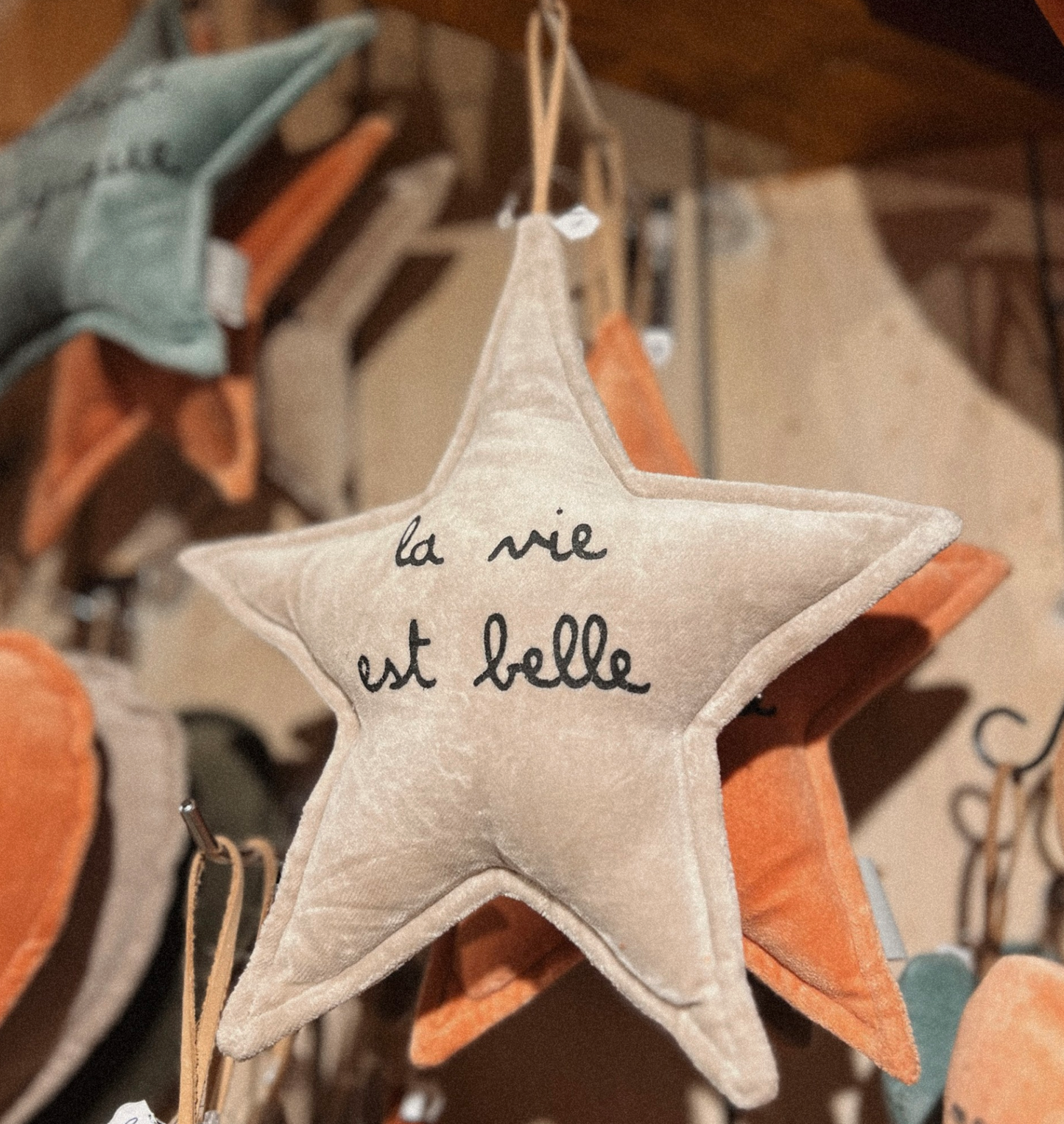 Étoile décorative "La vie est belle"