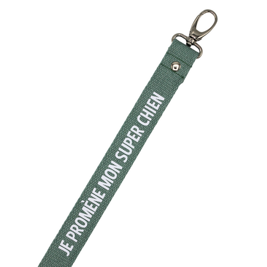 Laisse Je promène mon super chien