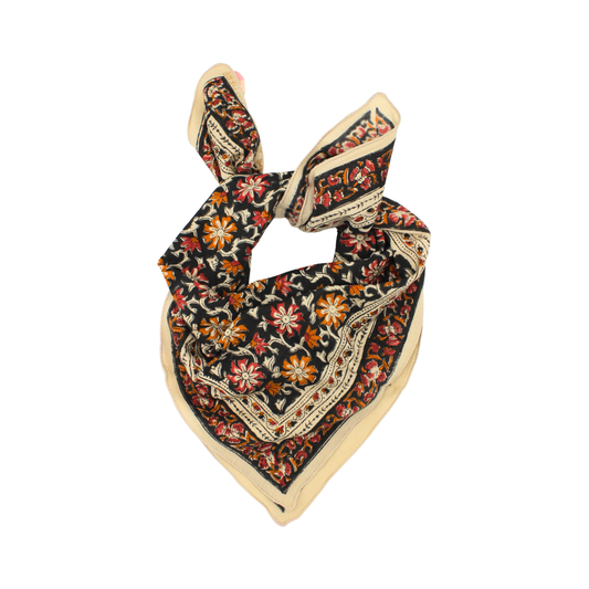 Foulard imprimé Felix