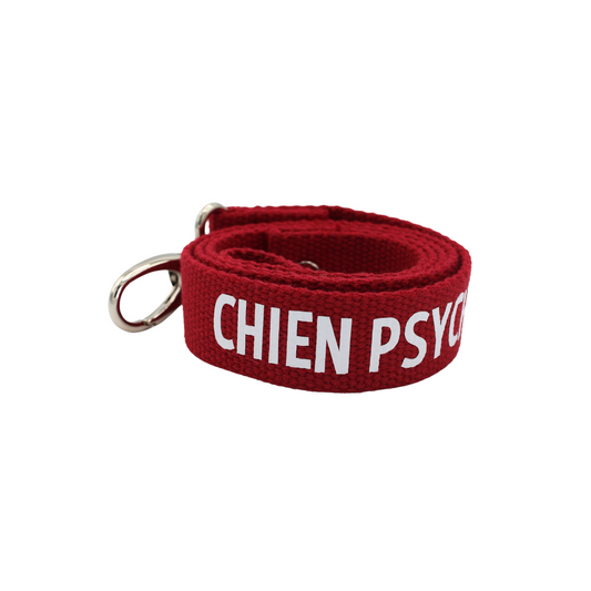 Laisse Chien psychopathe