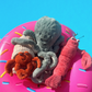Peluche Homard Larry