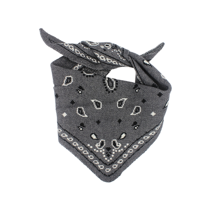 Foulard imprimé Lewis