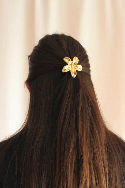 Bijou de cheveux Océa