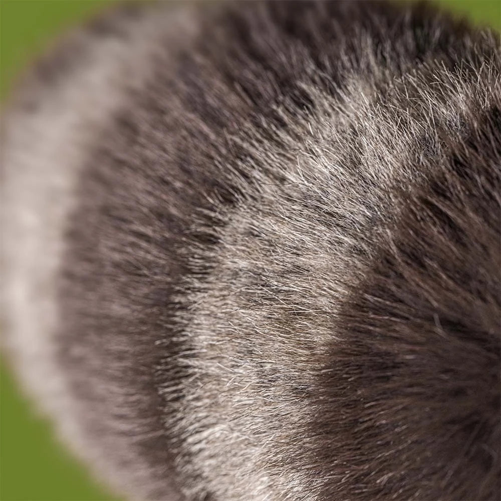 Peluche Raton laveur Trixiwoo