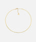 Collier Snake