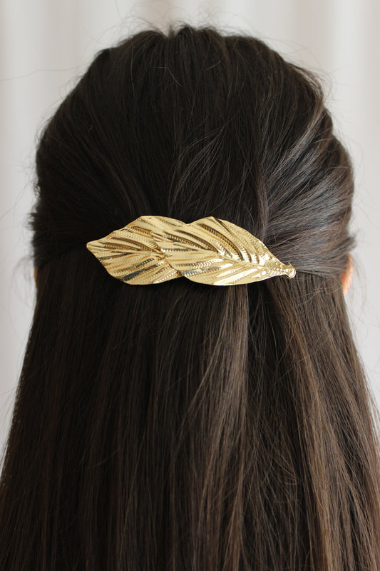 Barrette Swan