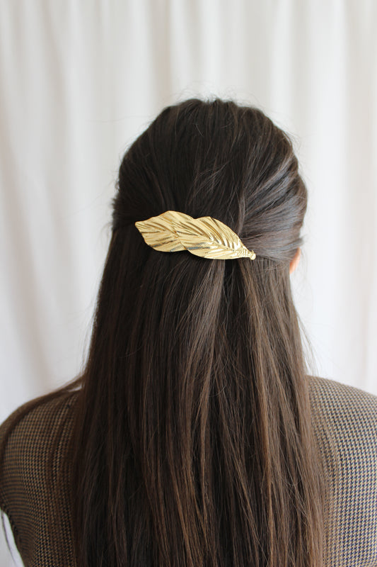Barrette Swan