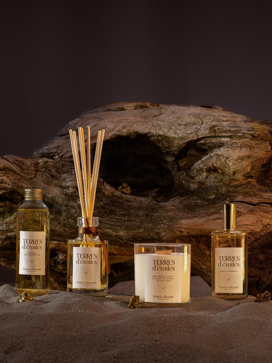 Recharge bouquet Terres d'étoiles