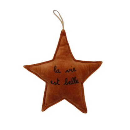 Étoile décorative "La vie est belle"