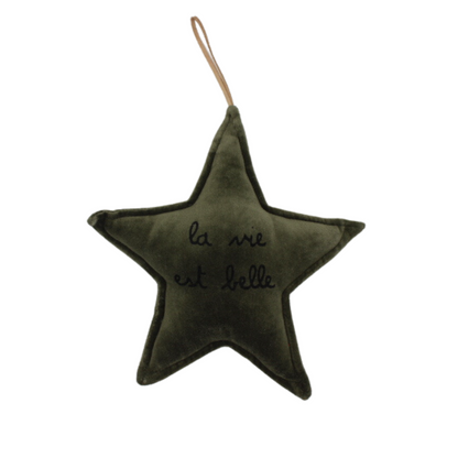 Étoile décorative "La vie est belle"