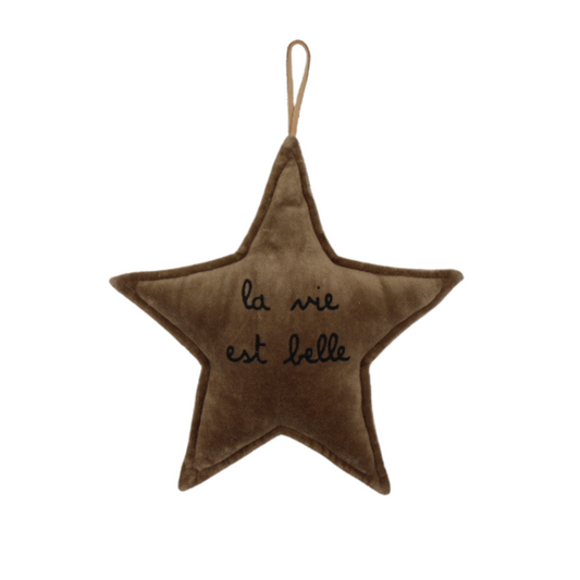 Étoile décorative "La vie est belle"