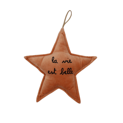 Étoile décorative "La vie est belle"