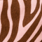 Picto Zèbre rose