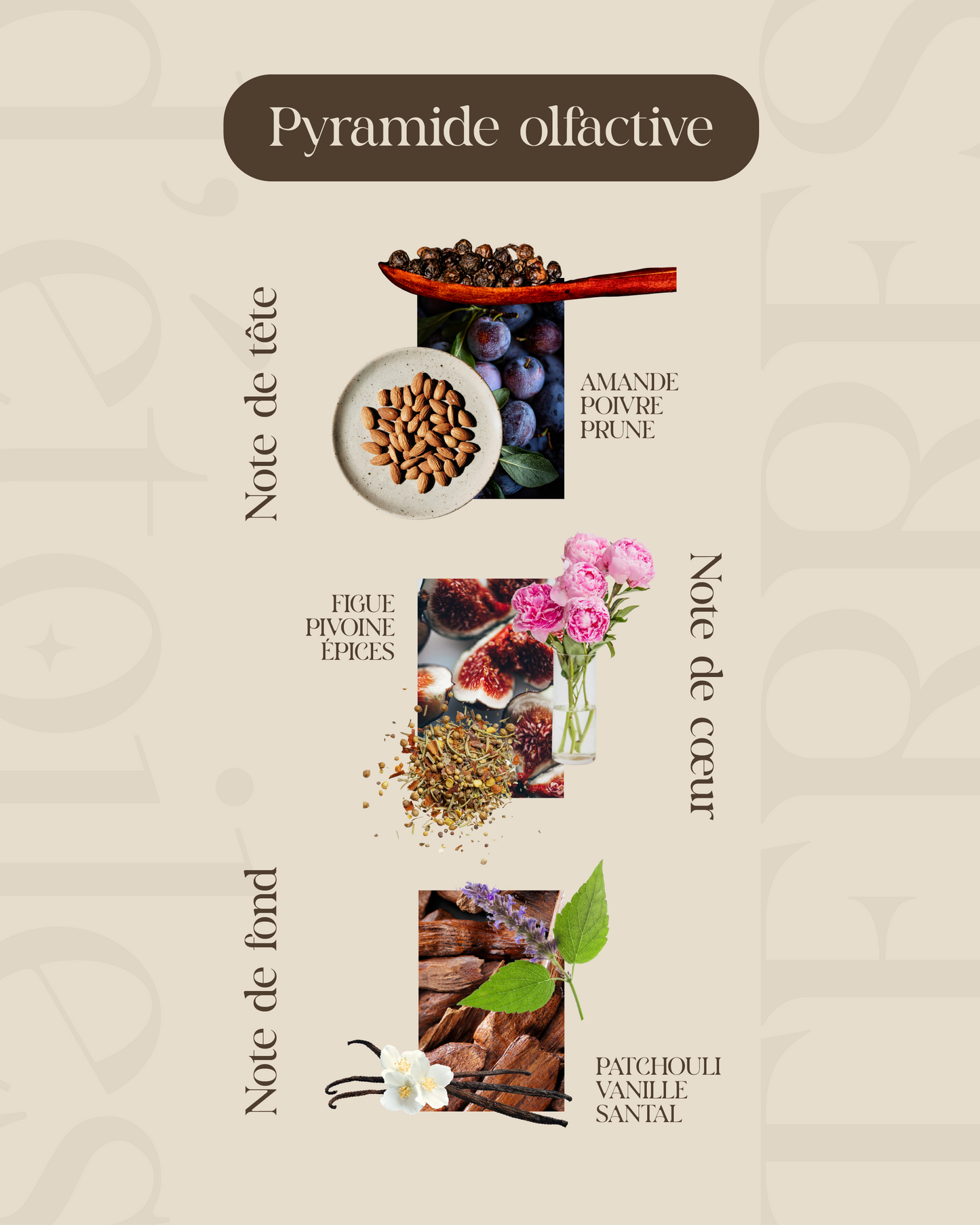 Eau de parfum Terres d'étoiles